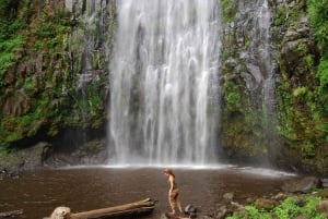 Moshi: Tagestour zu den Materuni-Wasserfällen