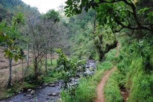 Moshi: Excursión de un día a las Cascadas de Materuni