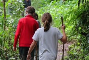 Moshi: Excursión de un día a las Cascadas de Materuni