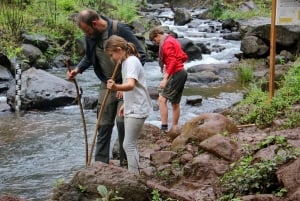 Moshi: Excursión de un día a las Cascadas de Materuni