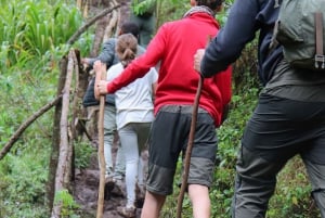 Moshi: Excursión de un día a las Cascadas de Materuni