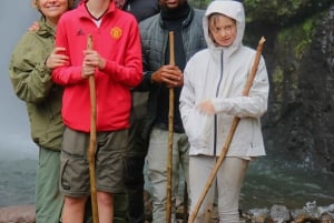 Moshi: Excursión de un día a las Cascadas de Materuni