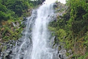 Moshi: Excursión de un día a las Cascadas de Materuni