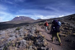 Moshi:Mount Kilimanjaro Day Hike with Mandara Hut Trek