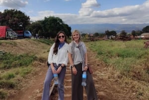 Moshi o Arusha: tour guiado por la ciudad, mercado y compras