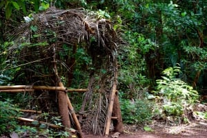 Moshi: Rau Forest (Hiking or Bike Tour)