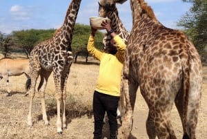 Moshi: Serval Wildlife Tour ruokineen ja juomineen