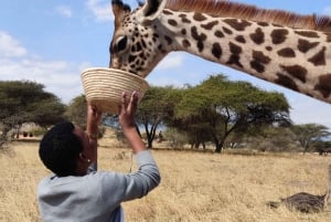 Moshi: Serval Wildlife Tour ruokineen ja juomineen