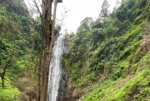 Moshi/Arusha: Materuni-vandfald, kaffetur og frokost