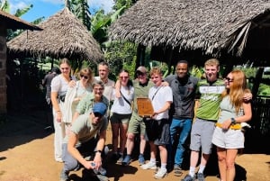 Moshi/Arusha: Materuni-vandfald, kaffetur og frokost