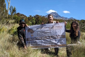 Kilimanjaro 6 dagar 5 nätter Trekking via Marangu Route