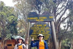 Monte Kilimanjaro: 7 días de caminata por la ruta Lemosho