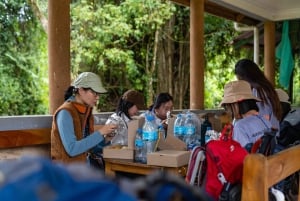 Monte Kilimanjaro: 7 días de caminata por la ruta Lemosho