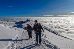 Monte Kilimanjaro: 7 días de caminata por la ruta Lemosho