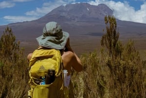 Monte Kilimanjaro: 7 días de caminata por la ruta Lemosho