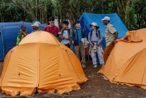 Monte Kilimanjaro: 7 días de caminata por la ruta Lemosho