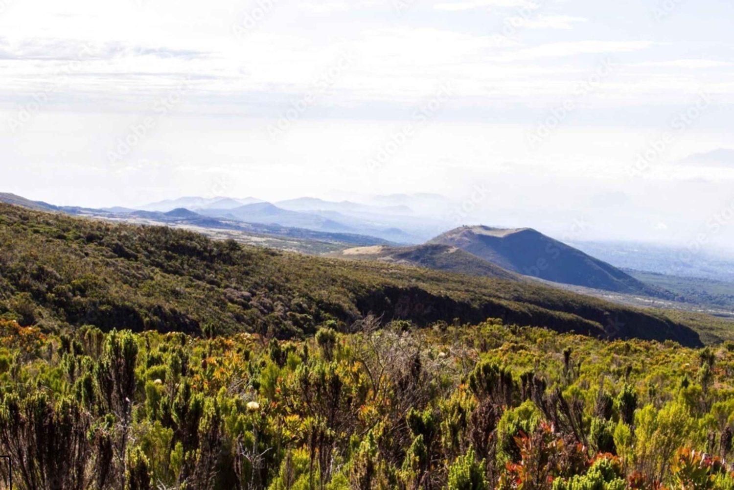 Jednodniowa wycieczka na Kilimandżaro przez bramę Marangu