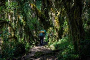 Jednodniowa wycieczka na Kilimandżaro przez bramę Marangu