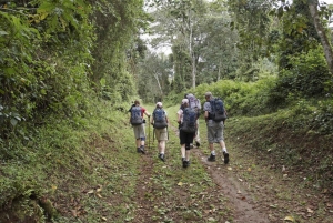 Jednodniowa wycieczka na Kilimandżaro przez bramę Marangu