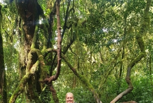 Jednodniowa wycieczka na Kilimandżaro przez bramę Marangu