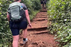 Jednodniowa wycieczka na Kilimandżaro przez bramę Marangu