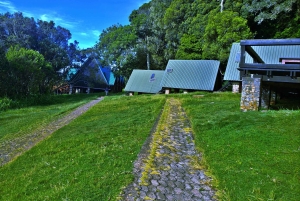 Jednodniowa wycieczka na Kilimandżaro przez bramę Marangu