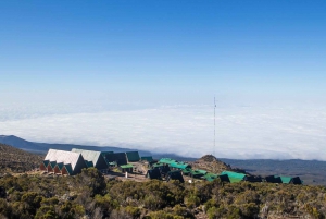 Mount Kilimanjaro Day Hike