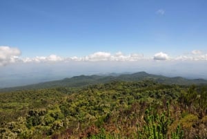 Mount Kilimanjaro Day Trip Trekking from Arusha or Moshi
