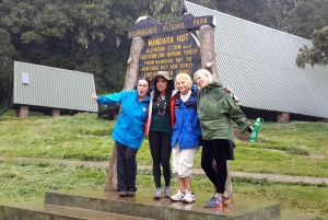 Jednodniowa wycieczka na Kilimandżaro