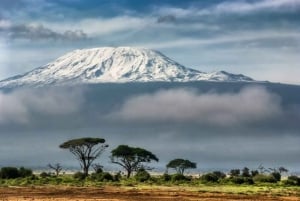Dagtrip naar het Kilimanjaro Nationaal Park