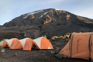 Dagsutflykt till Kilimanjaro nationalpark