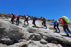 Dagsutflykt till Kilimanjaro nationalpark