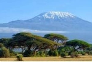 Dagstur til Mount Kilimanjaro nasjonalpark
