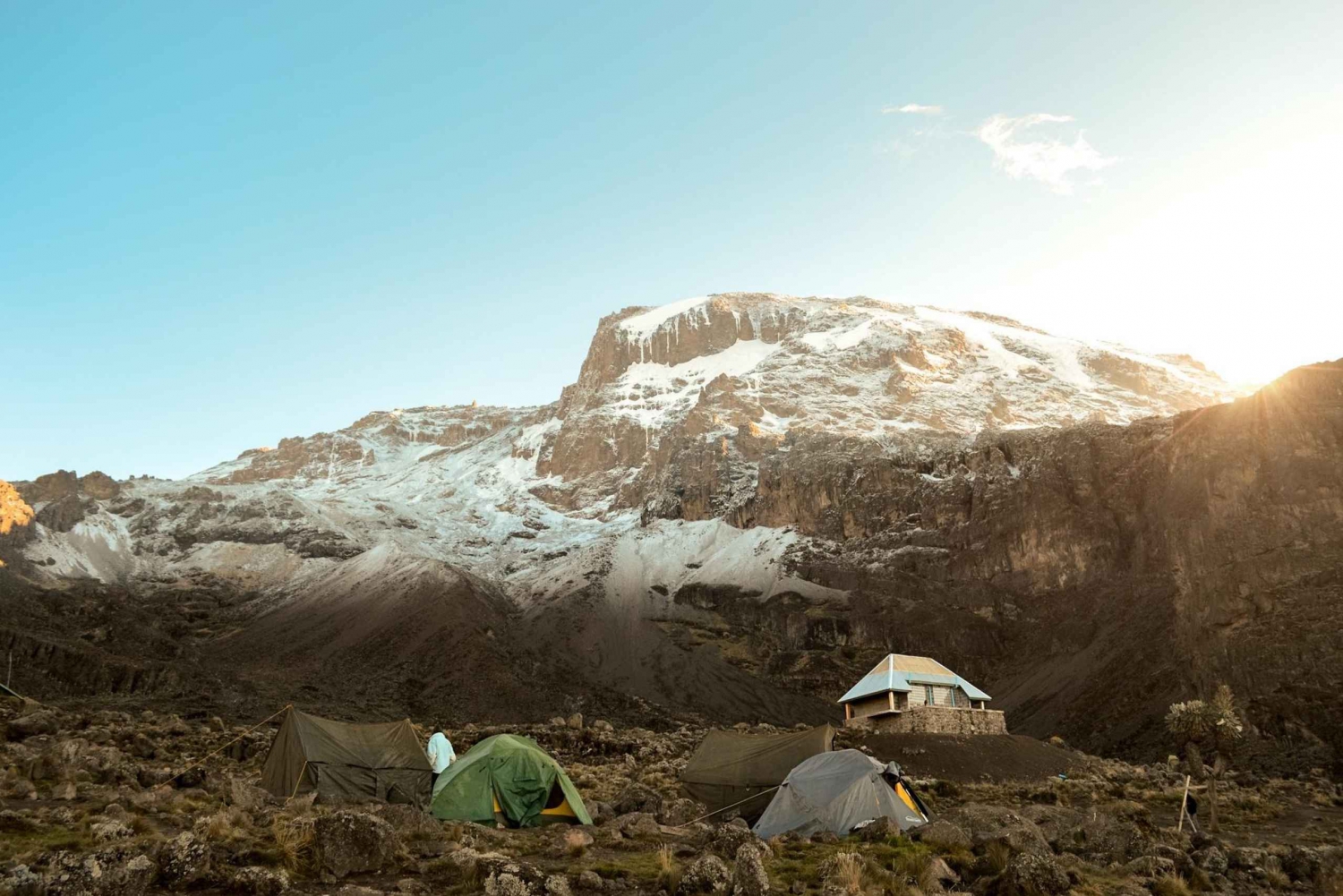 Sikker og luksuriøs bestigning av Kilimanjaro:, 7 dager Lemosho-rute