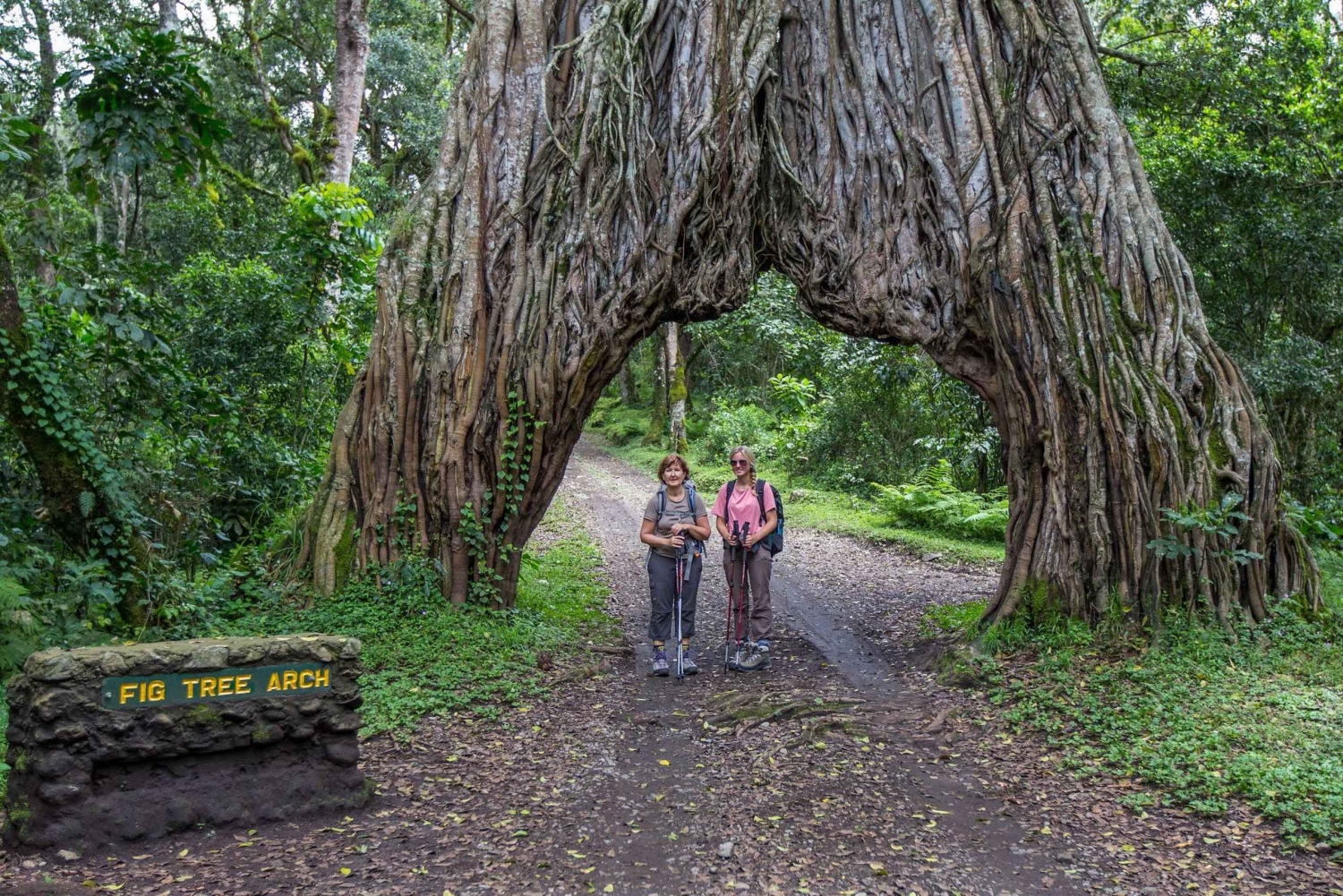 Mount Meru: 4-daagse klim met gids en maaltijden