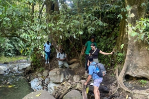 Mount Meru Arusha: Napuru Wasserfall-Wanderung von Kingstone Asilia