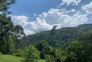 Гора Меру Аруша: поход к водопаду Напуру от Kingstone Asilia