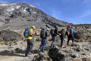 Dagstur på Kilimanjaroberget