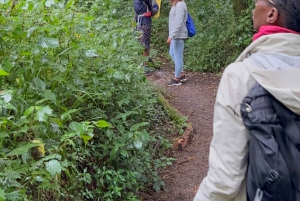 Dagstur på Kilimanjaroberget