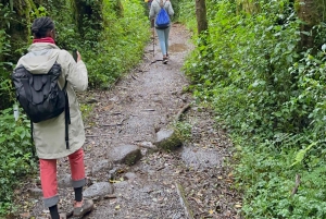 Dagstur på Kilimanjaroberget