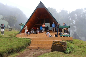 Dagstur på Kilimanjaroberget