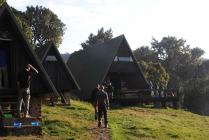 Dagstur på Kilimanjaroberget