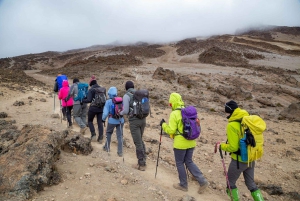 Dagstur på Kilimanjaroberget