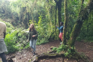 Dagstur på Kilimanjaroberget