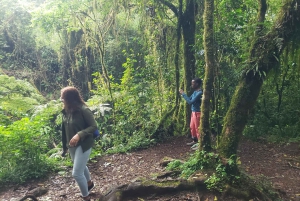 Dagstur på Kilimanjaroberget