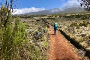 Dagstur på Kilimanjaroberget