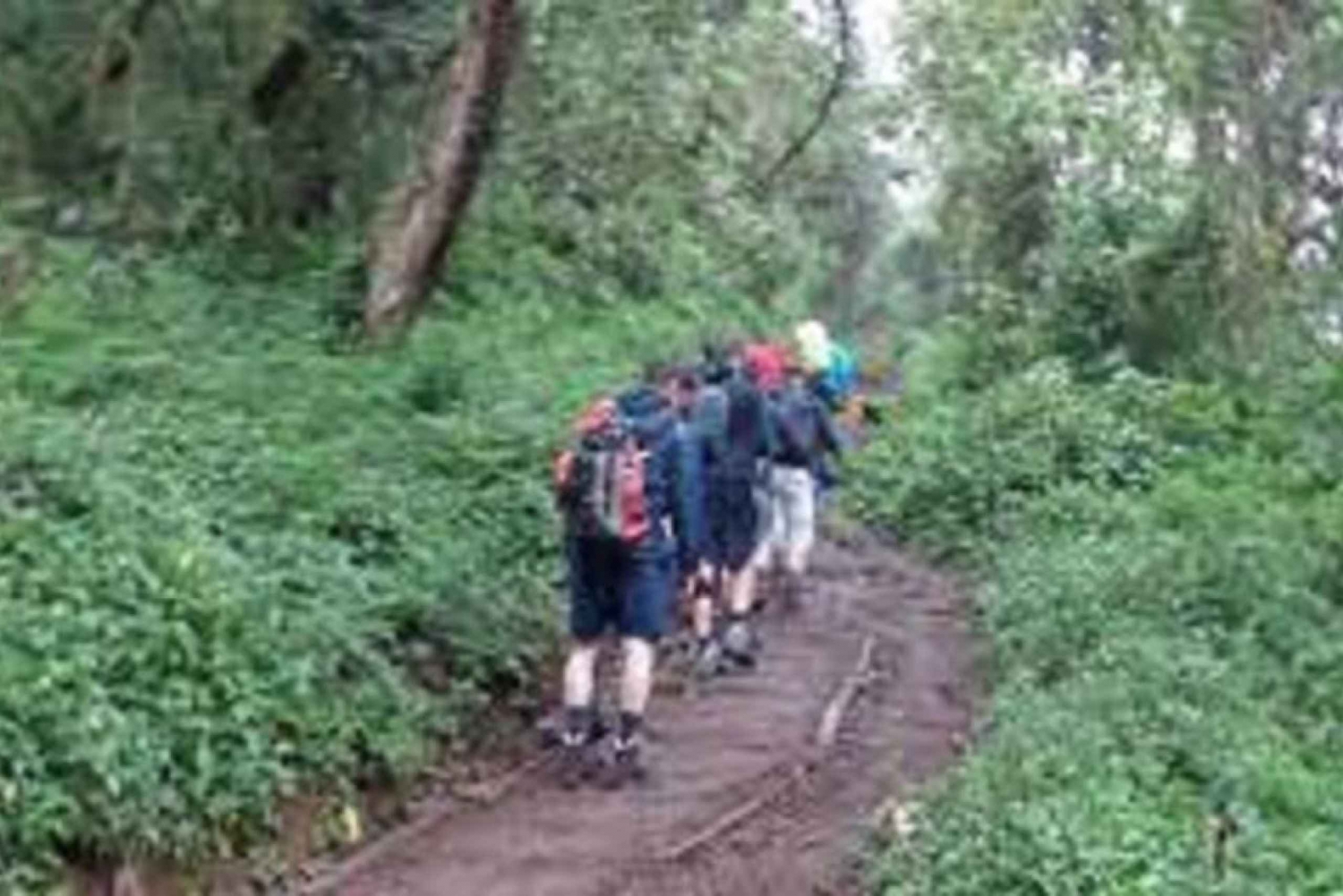 Best Kilimanjaro Day Hike With Car Shira Plateau experience