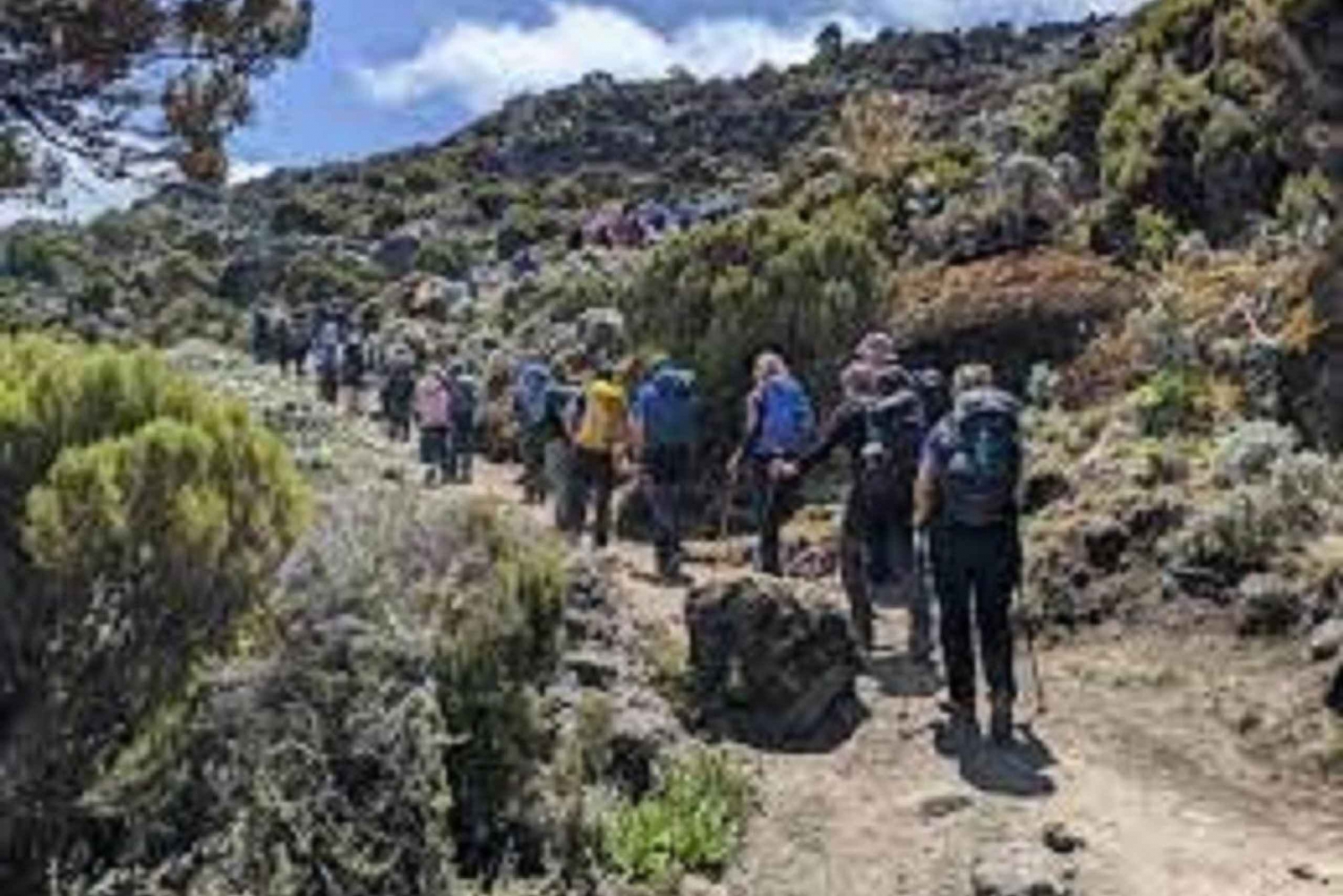 Best Kilimanjaro Day Hike With Car Shira Plateau experience