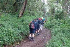 Best Kilimanjaro Day Hike With Car Shira Plateau experience