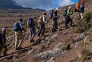 #1. Beste 5-dagers fottur på Kilimanjaro med Marangu-oppstigning